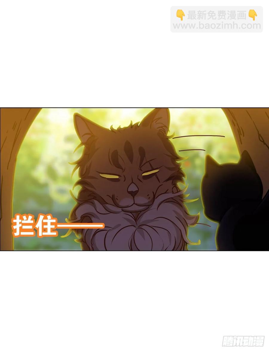 大师失踪的原因-第70话