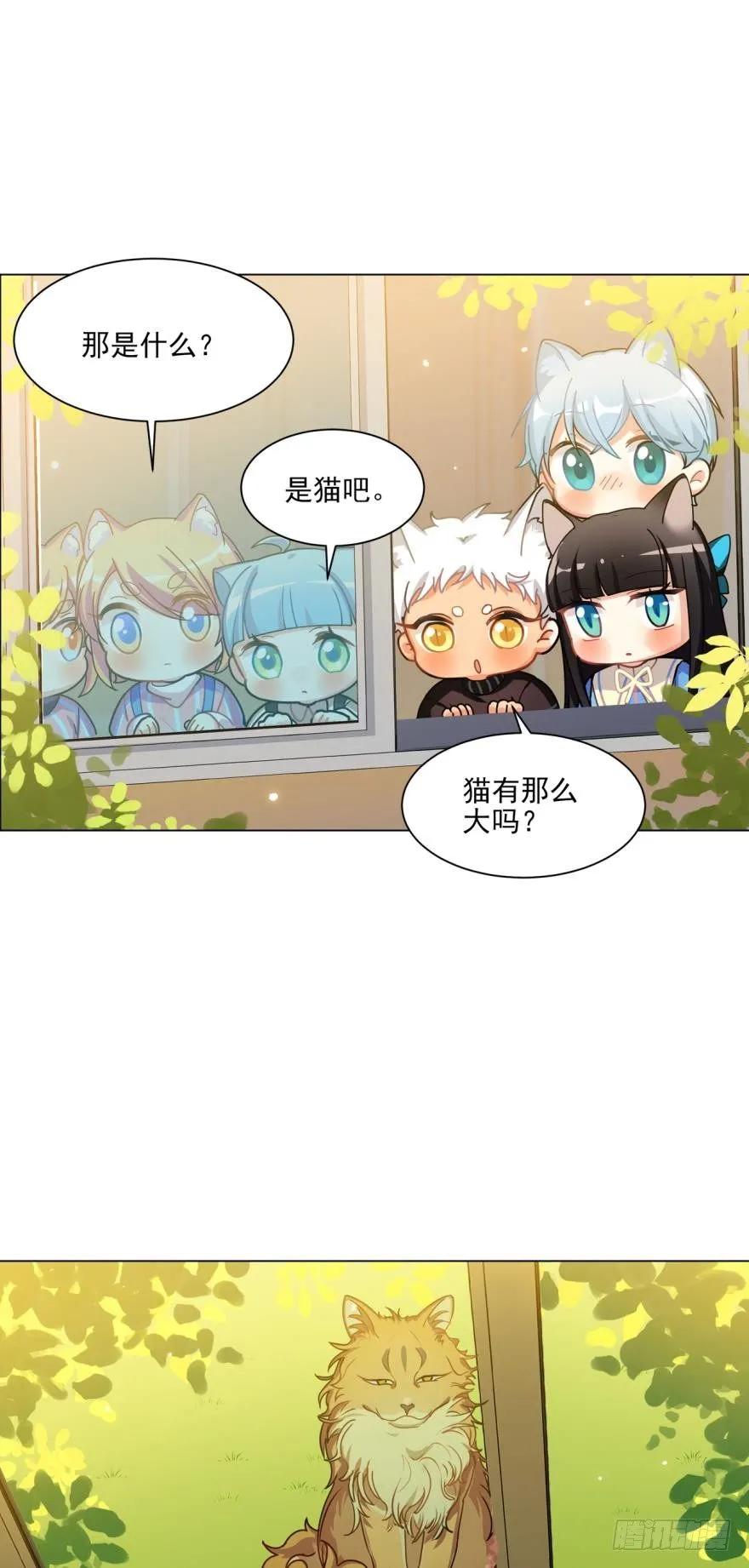 文轩和阿笑的小鸭子-第72话