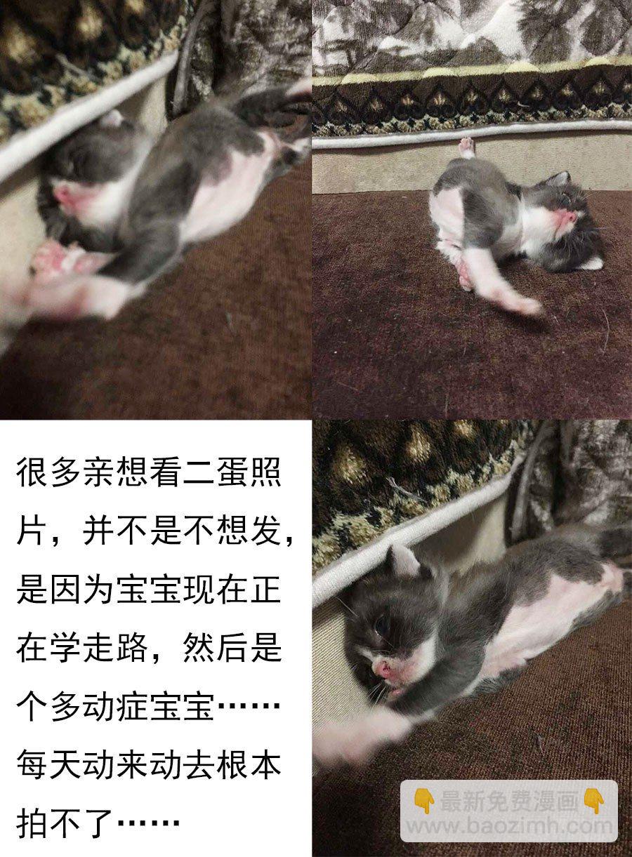 21.缚身灵之怨-第22话