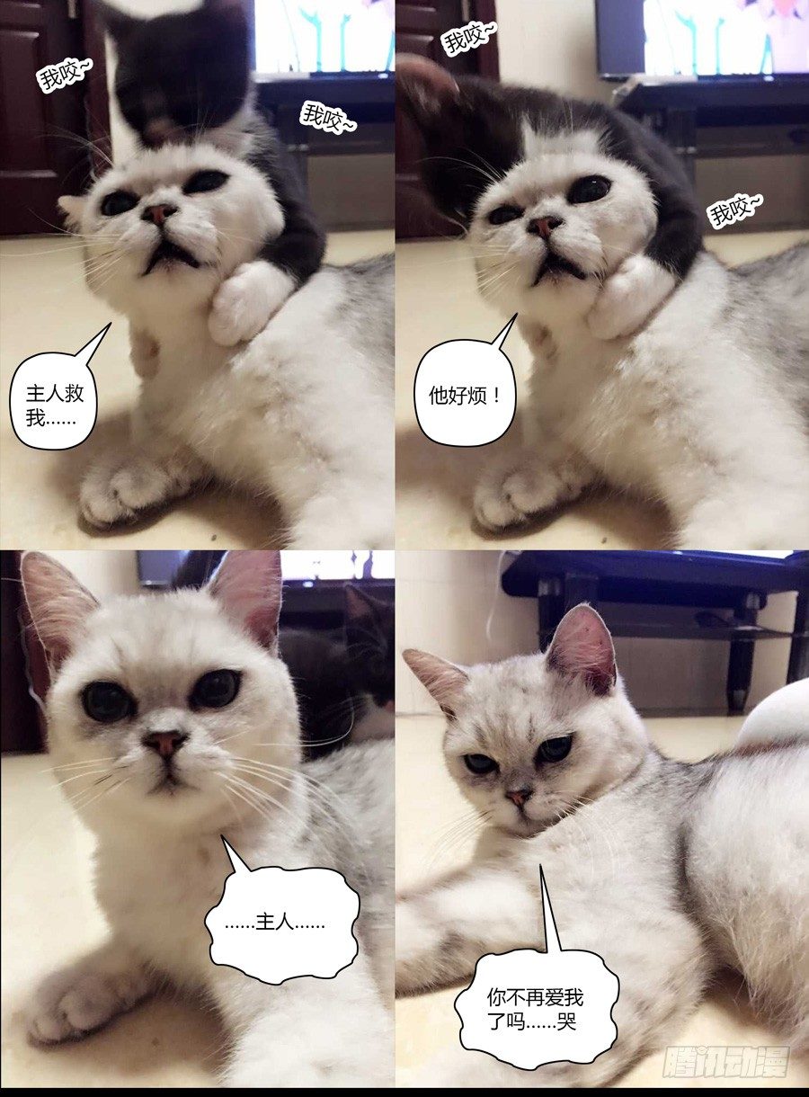 39.遍地死尸-第40话