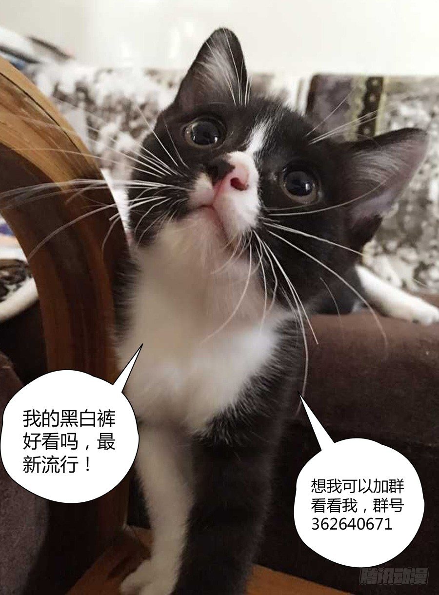 39.遍地死尸-第40话