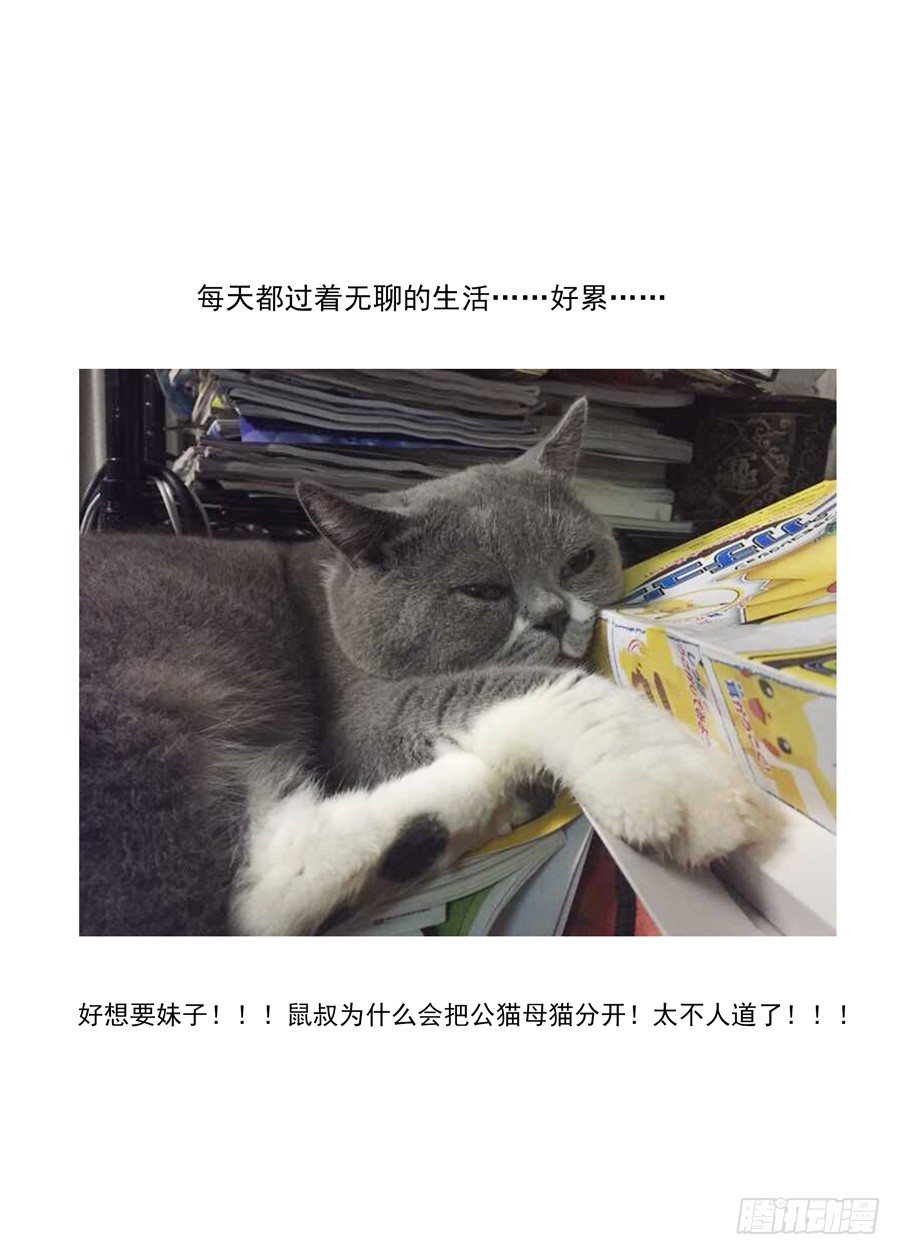 45.人造冥脉-第46话