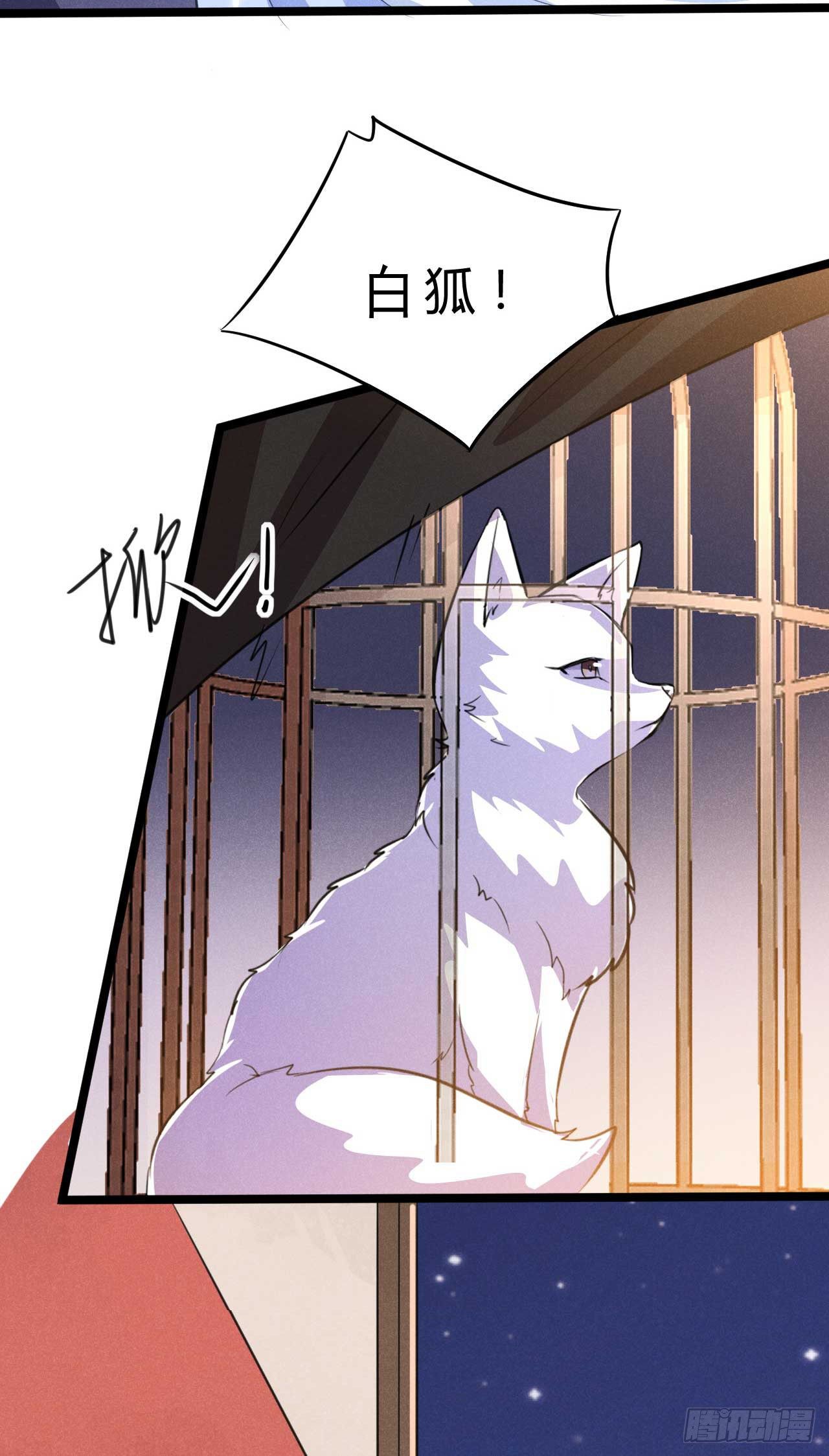 冷傲神醫寵夫三十六計 - 第13話 上元節燈會 - 1