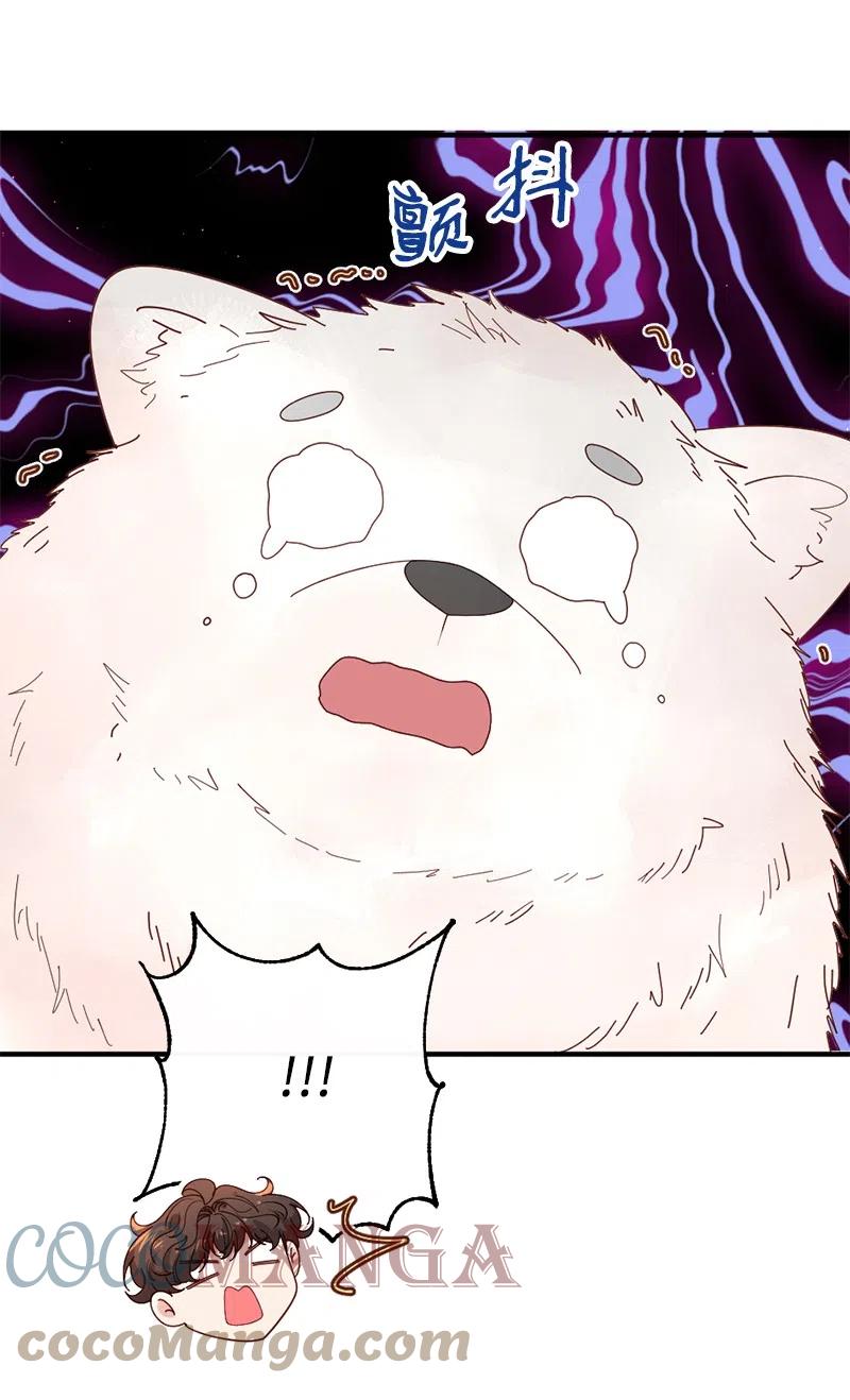 11 神秘商店(1/2)-第12话