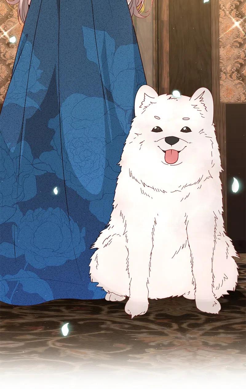 11 神秘商店(1/2)-第12话