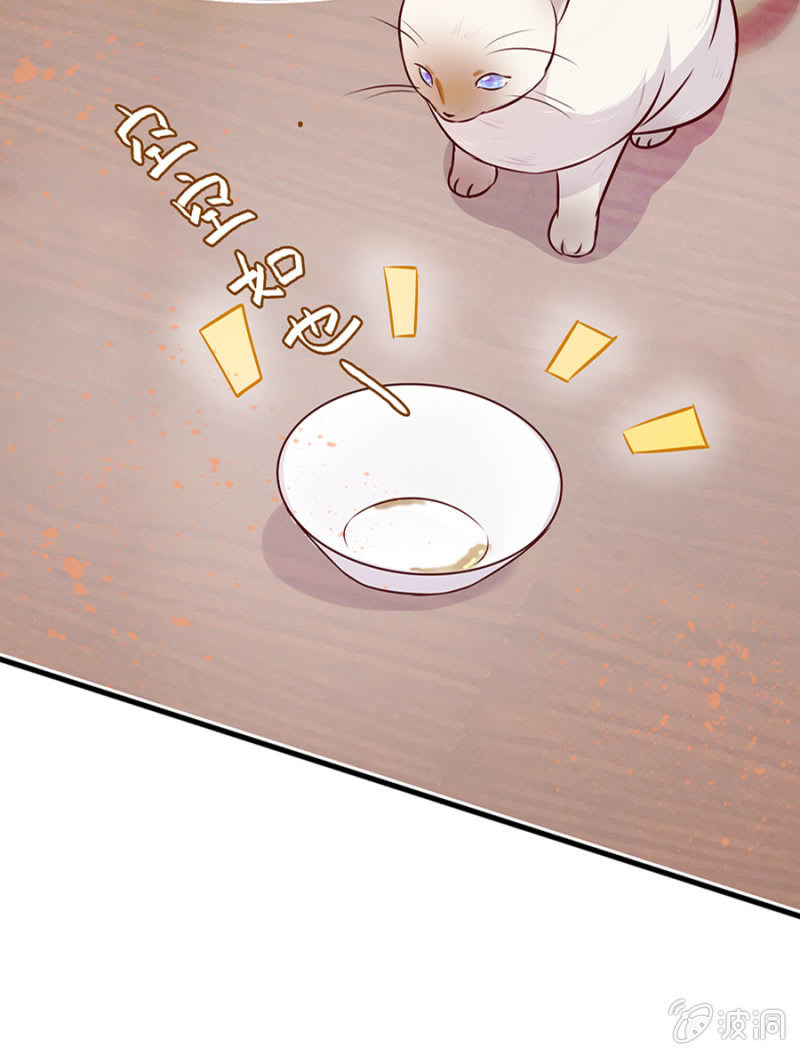 智斗坏女人-第8话