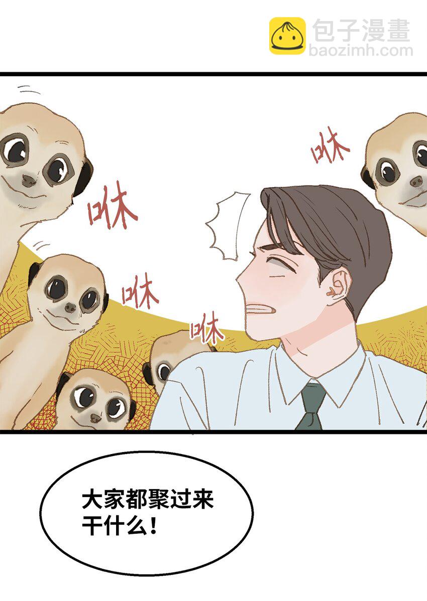 11 我这张嘴啊(1/2)-第12话