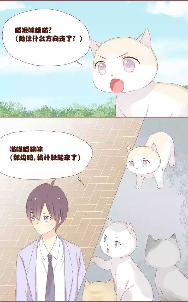 17 卷卷竟然变成了&hellip;&hellip;！！！-第18话