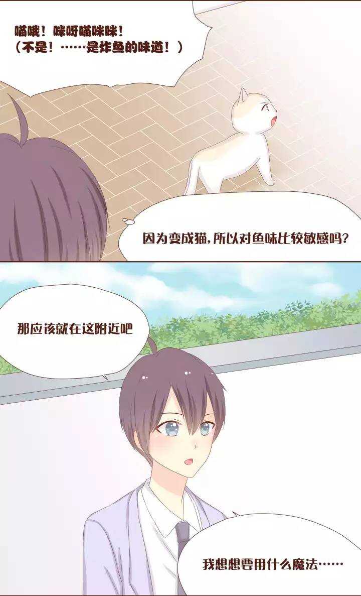 17 卷卷竟然变成了&hellip;&hellip;！！！-第18话