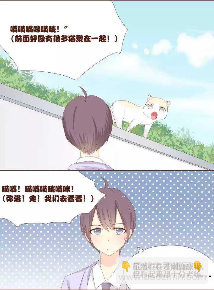 17 卷卷竟然变成了&hellip;&hellip;！！！-第18话