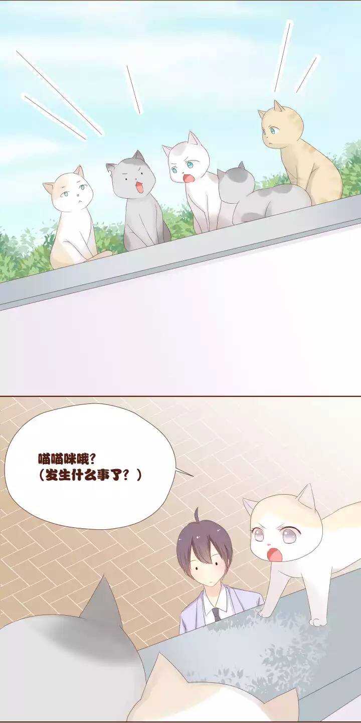 17 卷卷竟然变成了&hellip;&hellip;！！！-第18话