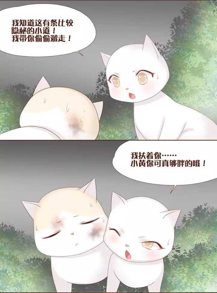 23 小黄被魔法四人组揍得一身伤！-第24话