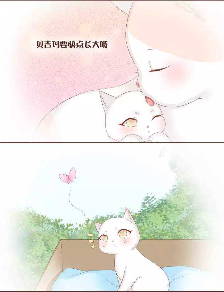 23 小黄被魔法四人组揍得一身伤！-第24话