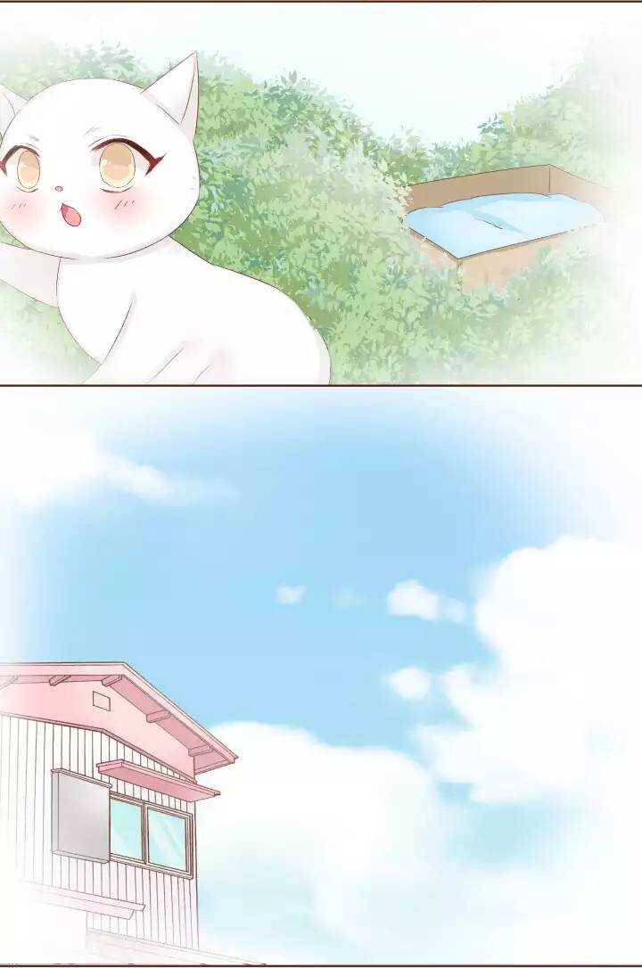 23 小黄被魔法四人组揍得一身伤！-第24话