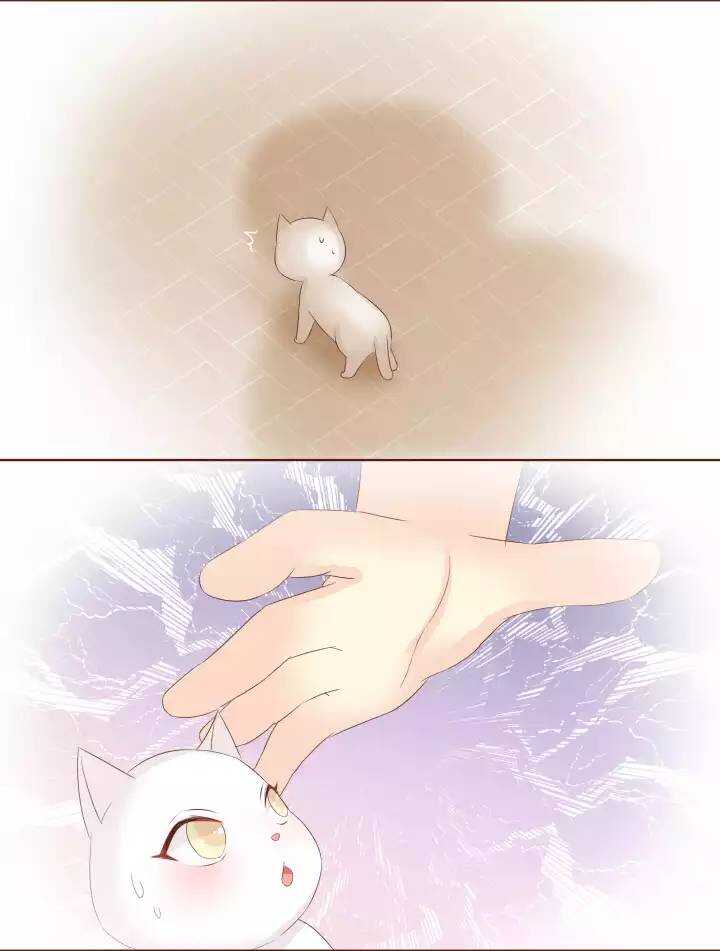 23 小黄被魔法四人组揍得一身伤！-第24话