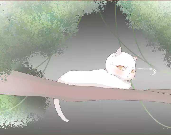 23 小黄被魔法四人组揍得一身伤！-第24话