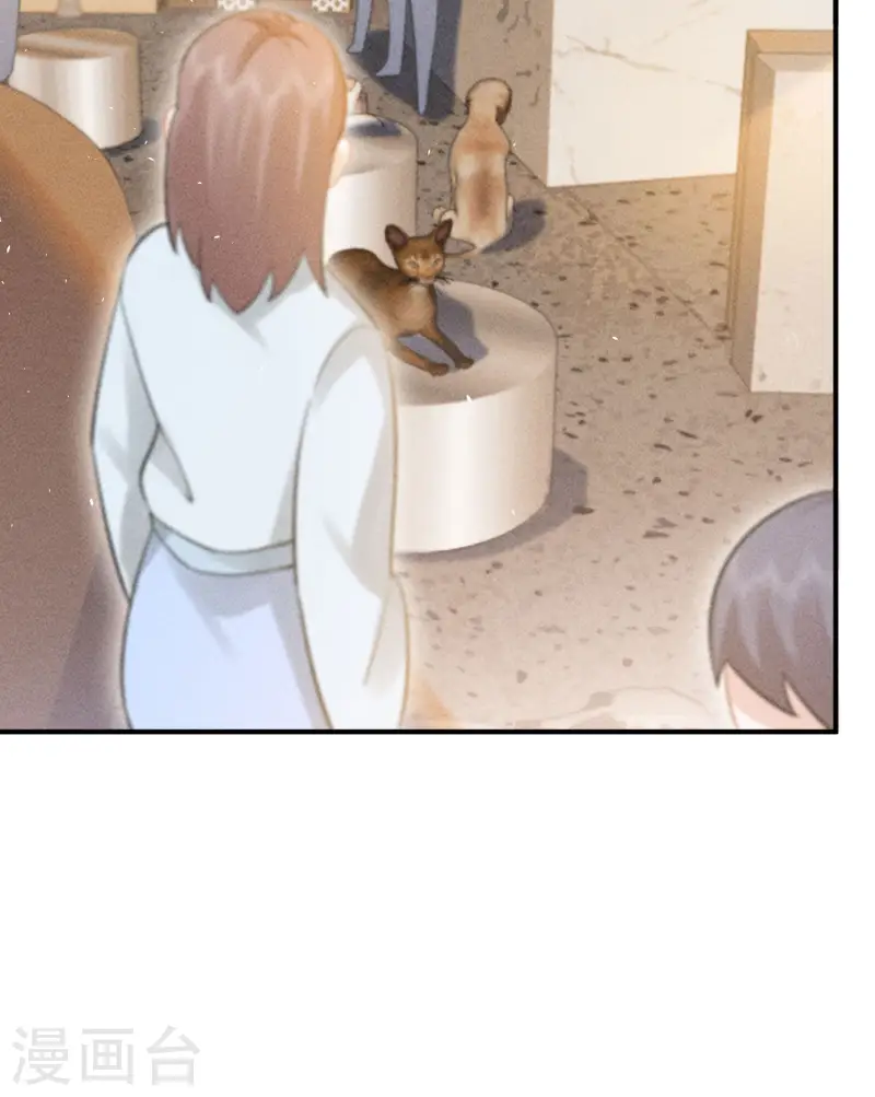 第23话 我眼中的你(1/2)-第26话