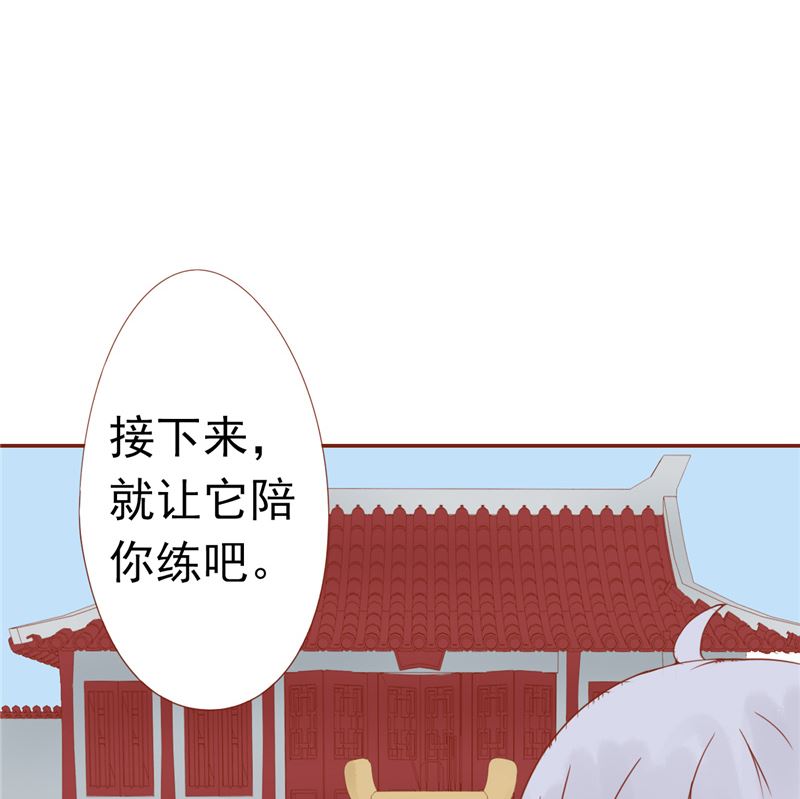 第二十八话 执掌人(1/2)-第28话