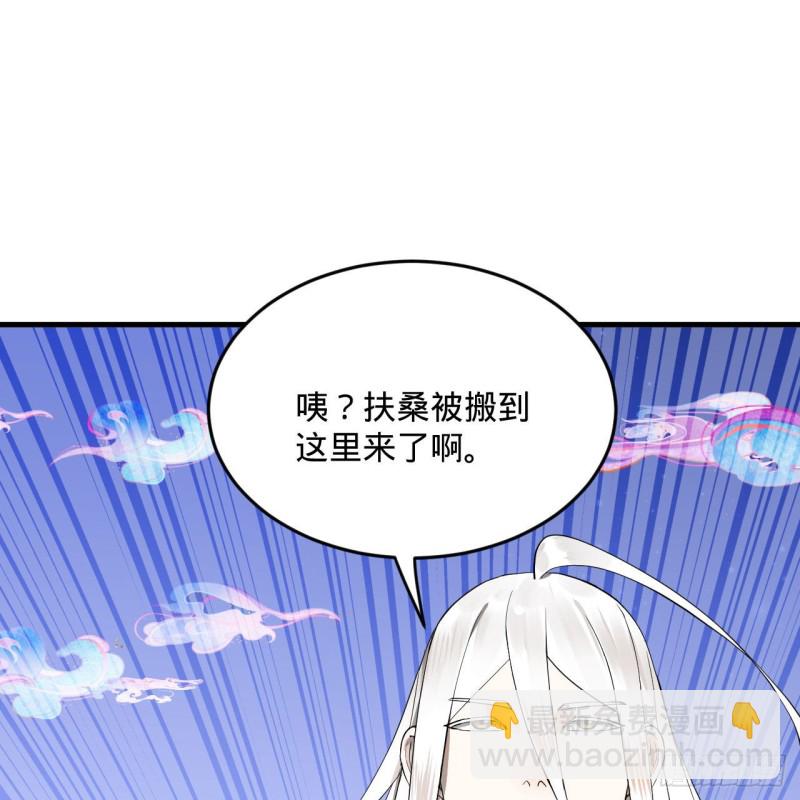 煉氣練了三千年 - 241回 築 基 池(1/2) - 2