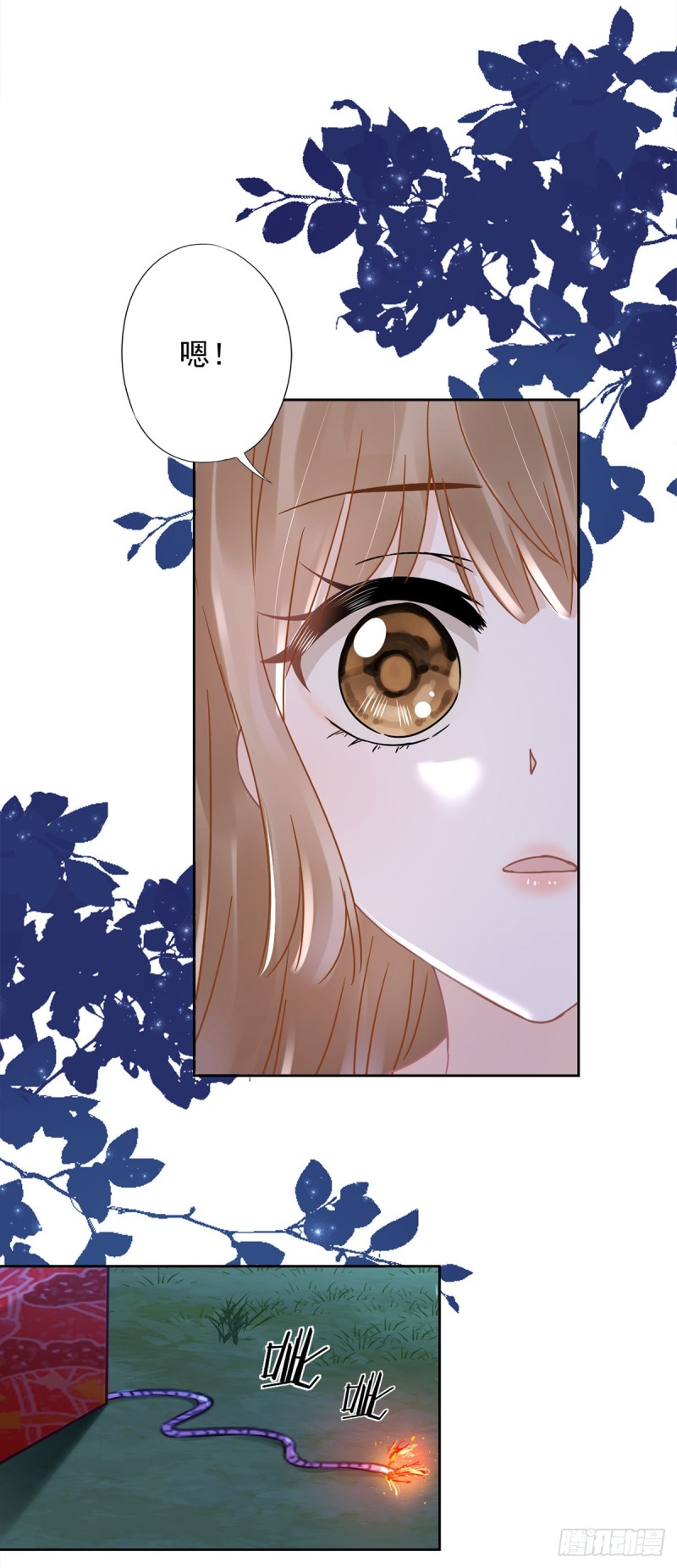 第49话 山顶的一夜-第50话