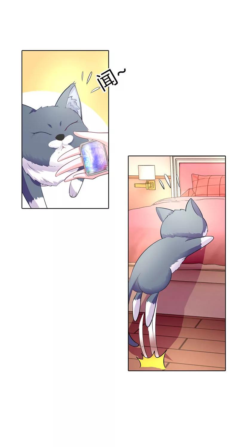 我对你从不撒谎-第36话