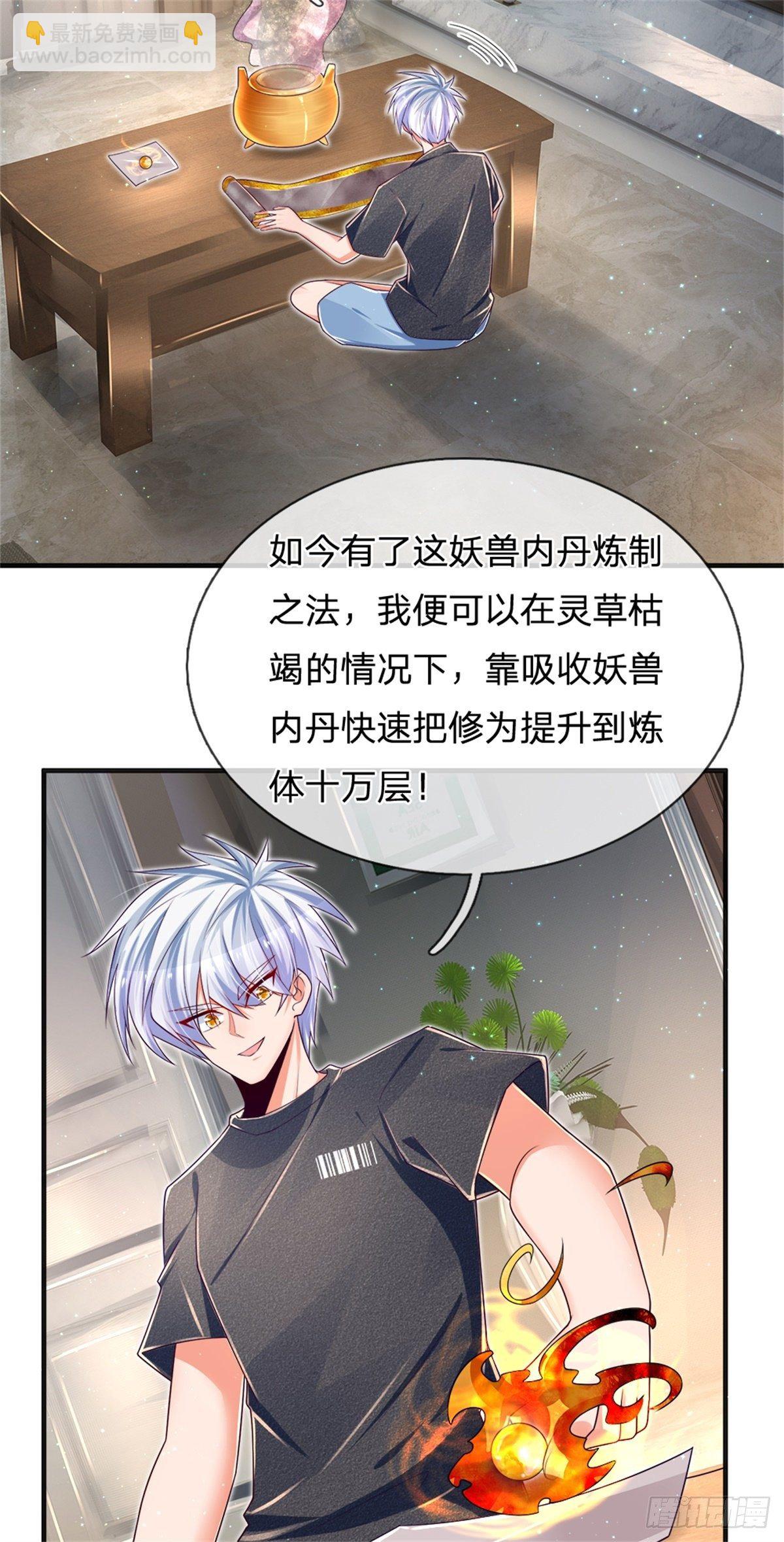 煉體十萬層：我養的狗都是大帝 - 第31話 妖獸內丹煉製之法 - 4