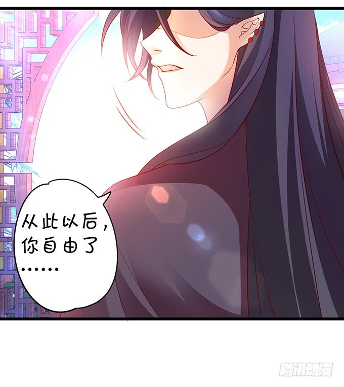 从此以后，你自由了。(1/2)-第12话