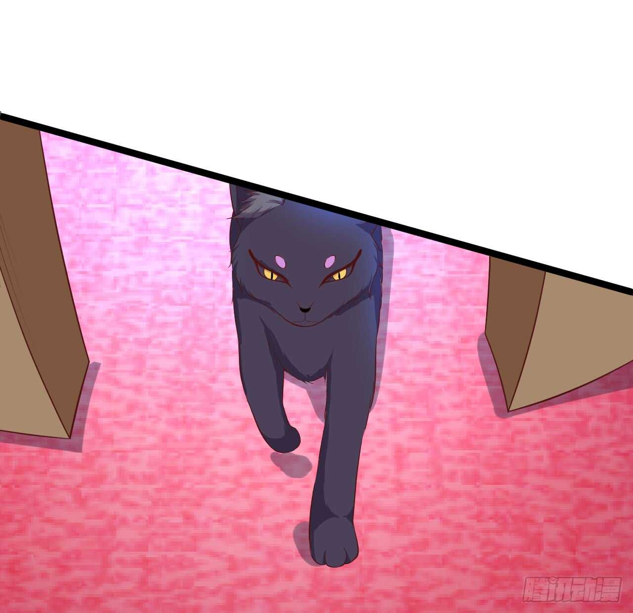 猫奴福利！小猫妖登场！(1/2)-第78话