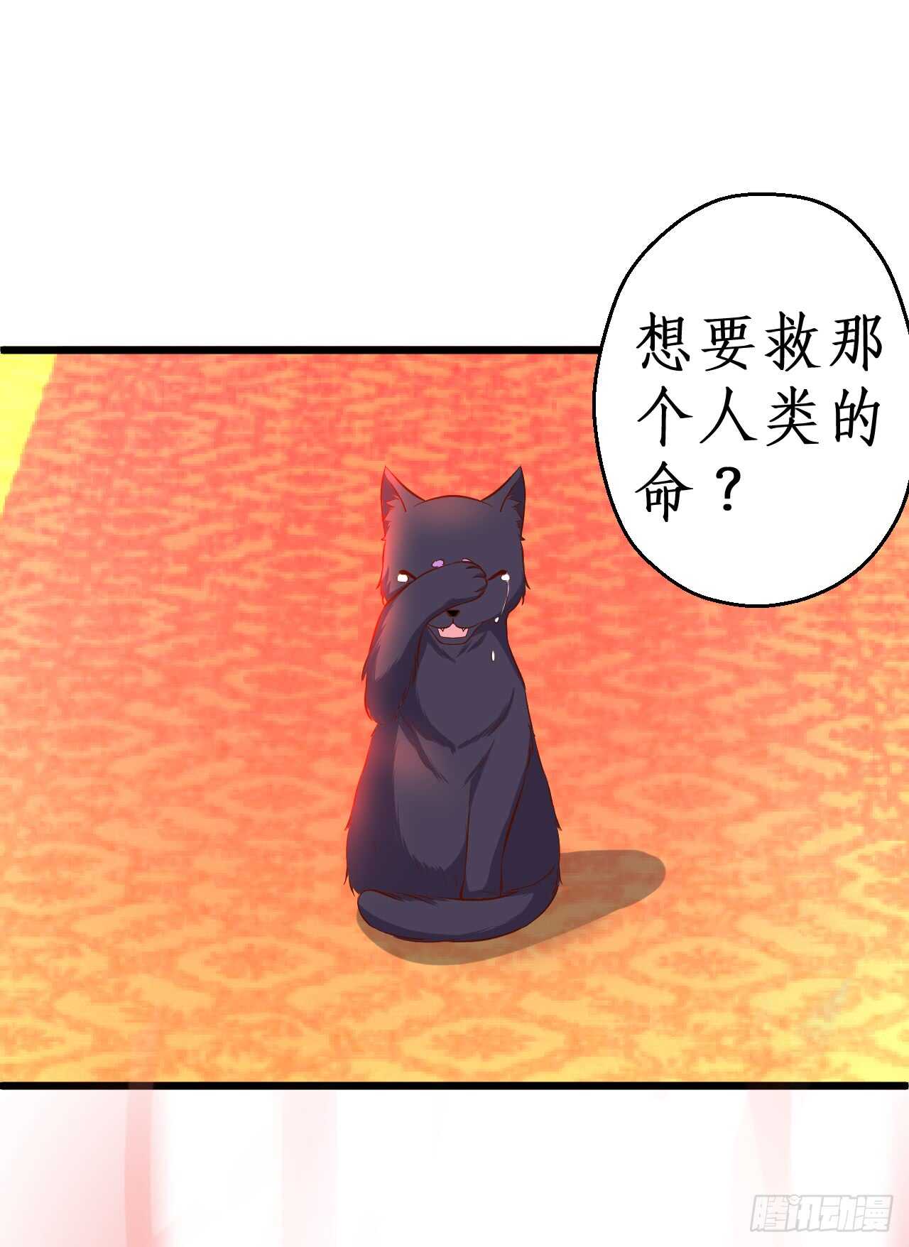 你是我的，谁也不能将他夺走！！(1/2)-第80话