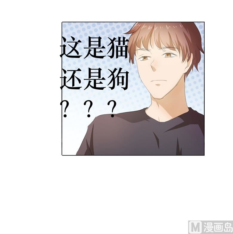 034：不就跳个墙吗！-第34话