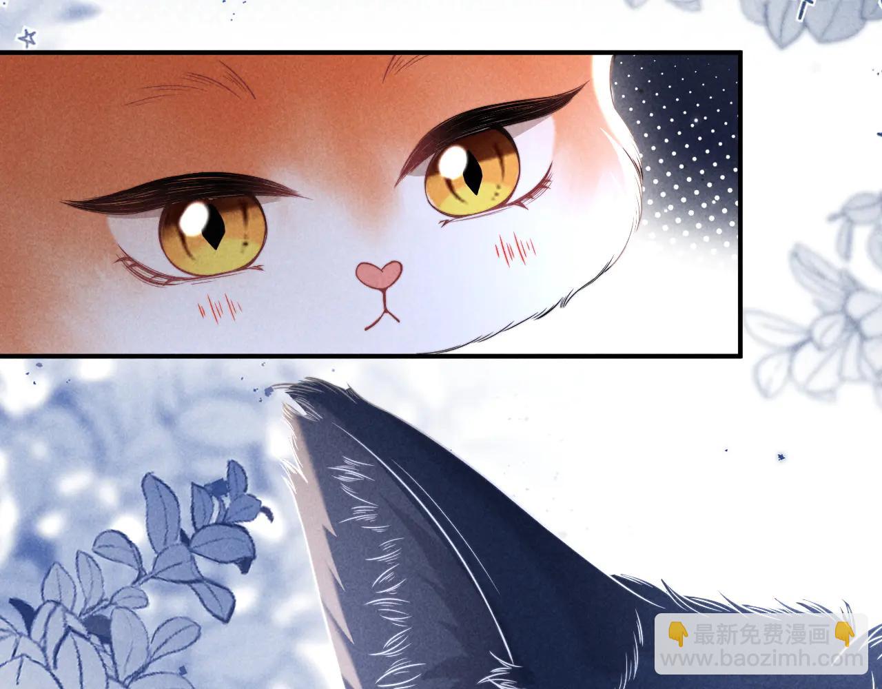 第41话 留下来(1/2)-第50话