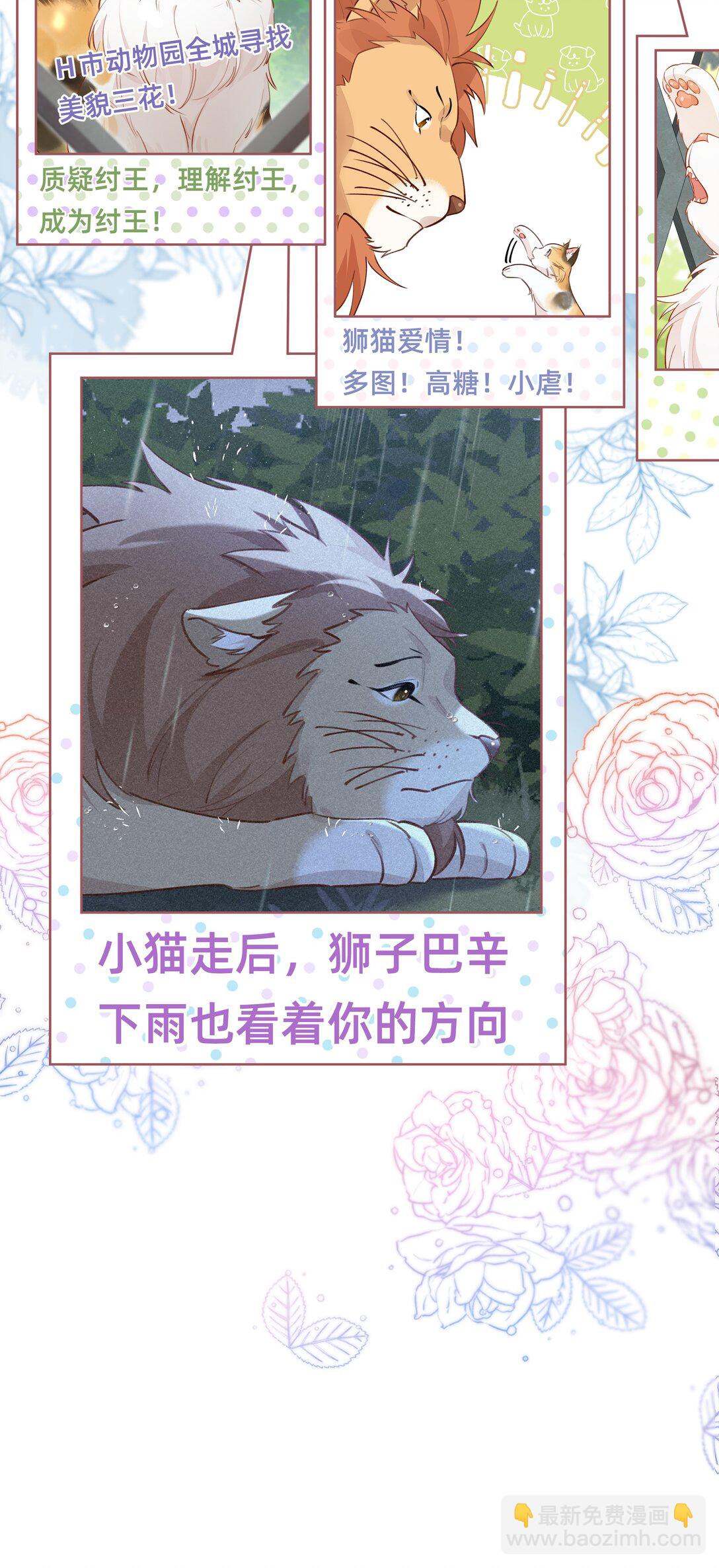 012 狮子王：动物界的甜蜜爱情-第14话