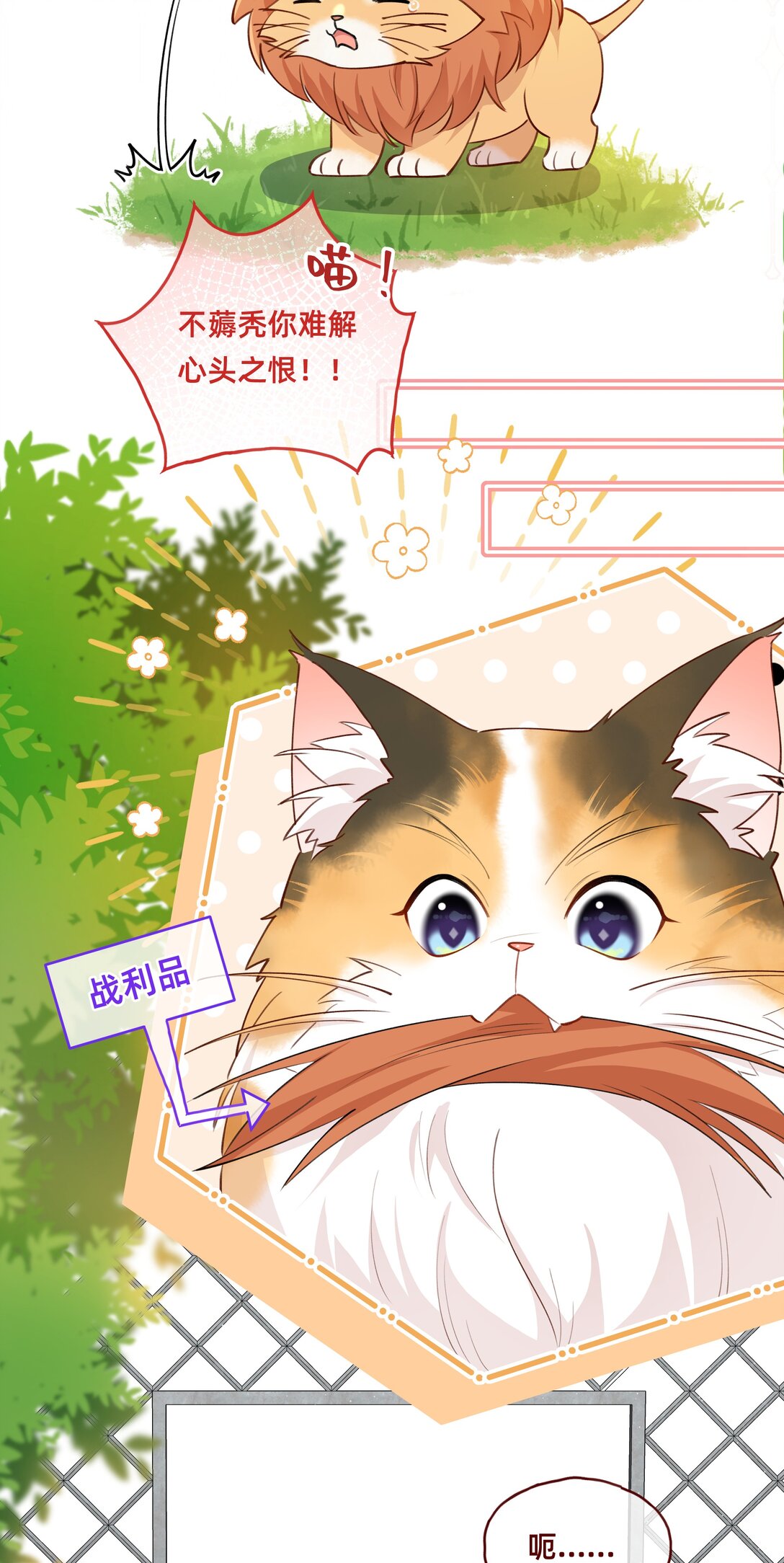 012 狮子王：动物界的甜蜜爱情-第14话