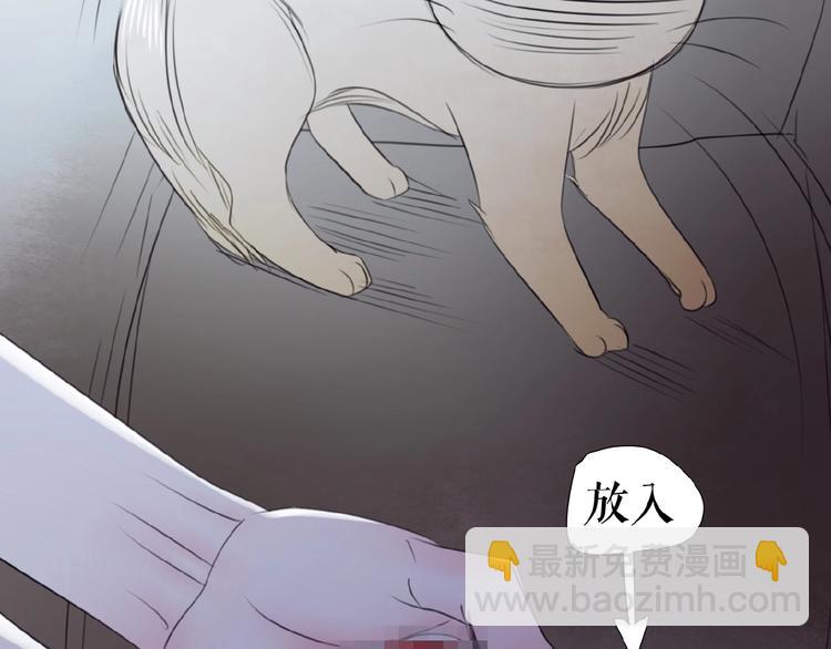 番外  虚惊一场喵(1/3)-第26话