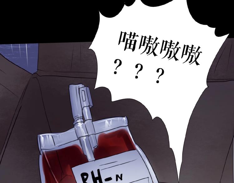 番外  虚惊一场喵(1/3)-第26话