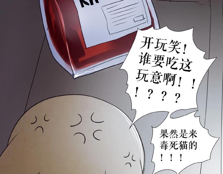 番外  虚惊一场喵(1/3)-第26话