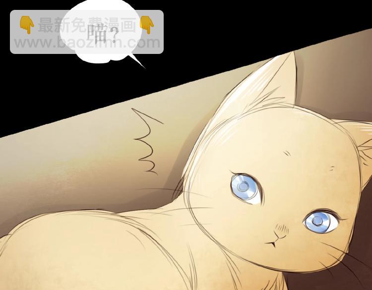 番外  虚惊一场喵(1/3)-第26话