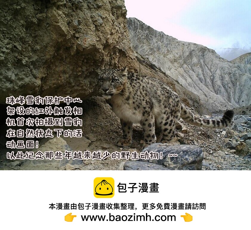 第25话 猎妖组计划-第26话