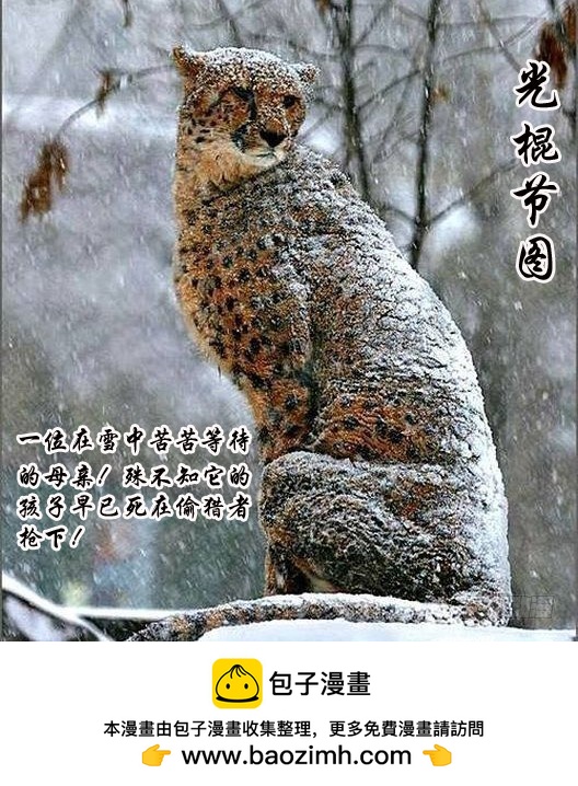 第10话 人类文明的危机（中）-第10话