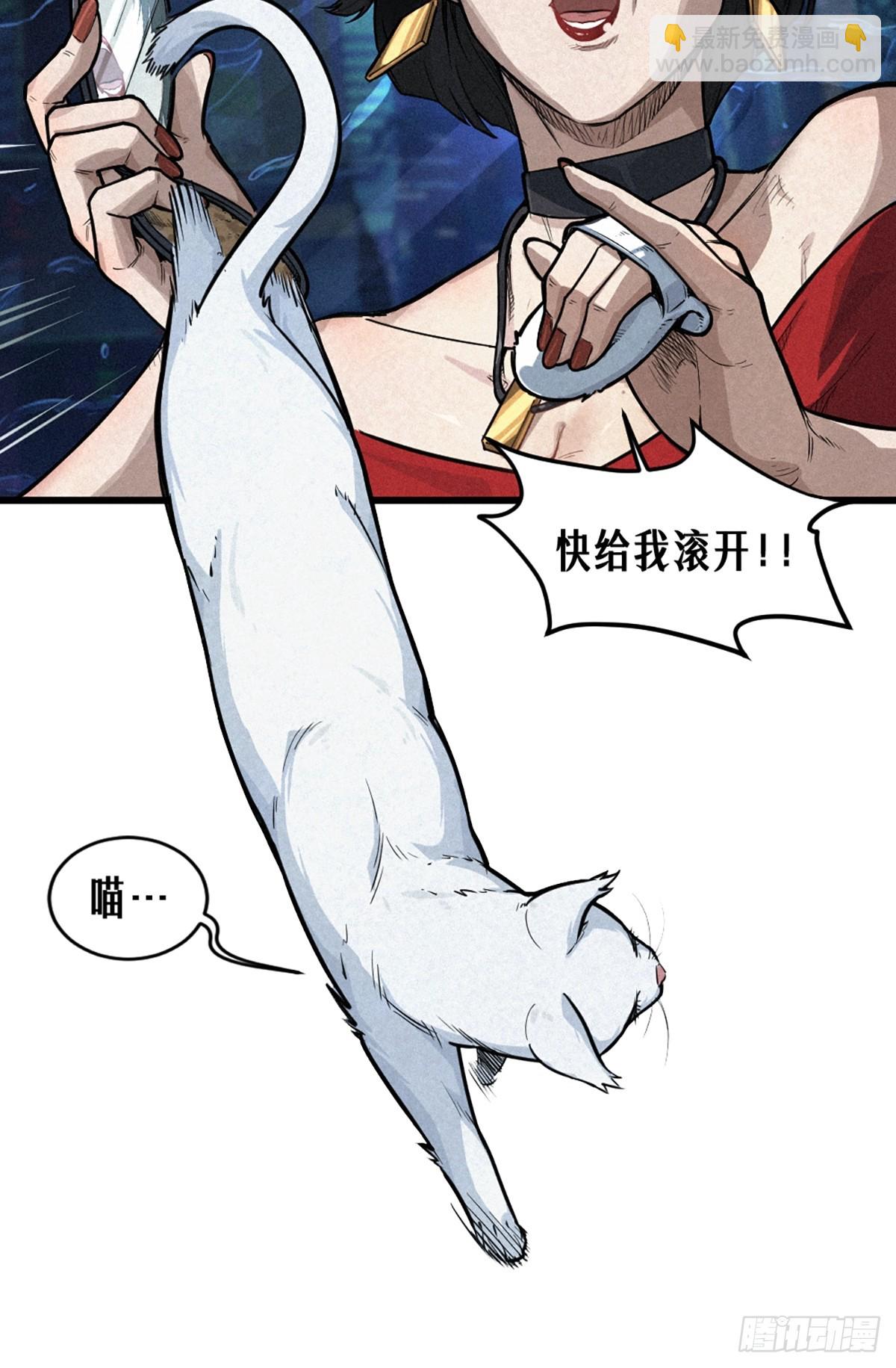 靈籠·月魁傳 - 029 護貓使者（上）(1/2) - 2