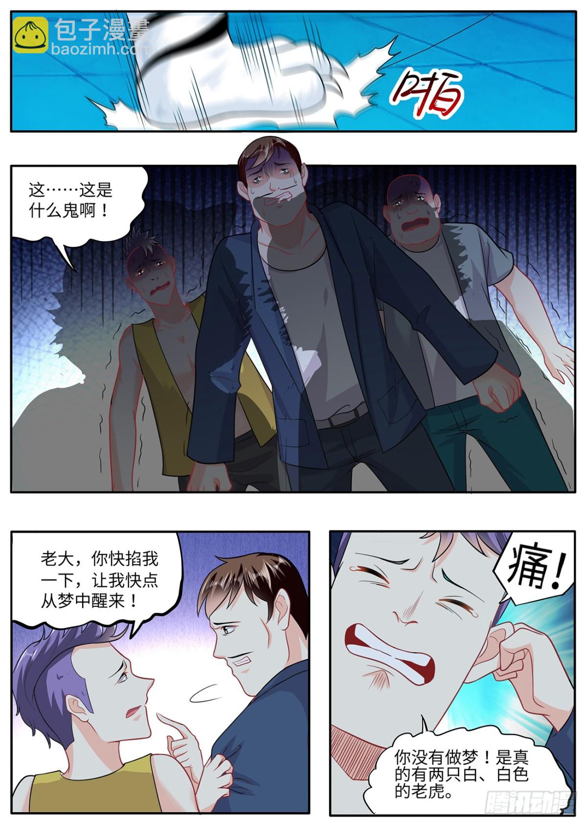 两只老虎-第10话