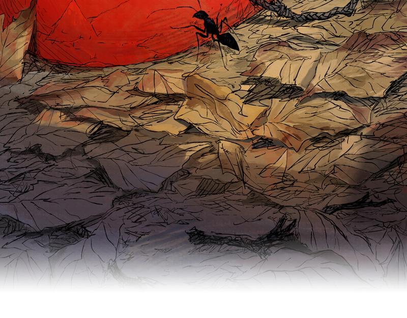 43 晨曦 (下)(1/2)-第44话