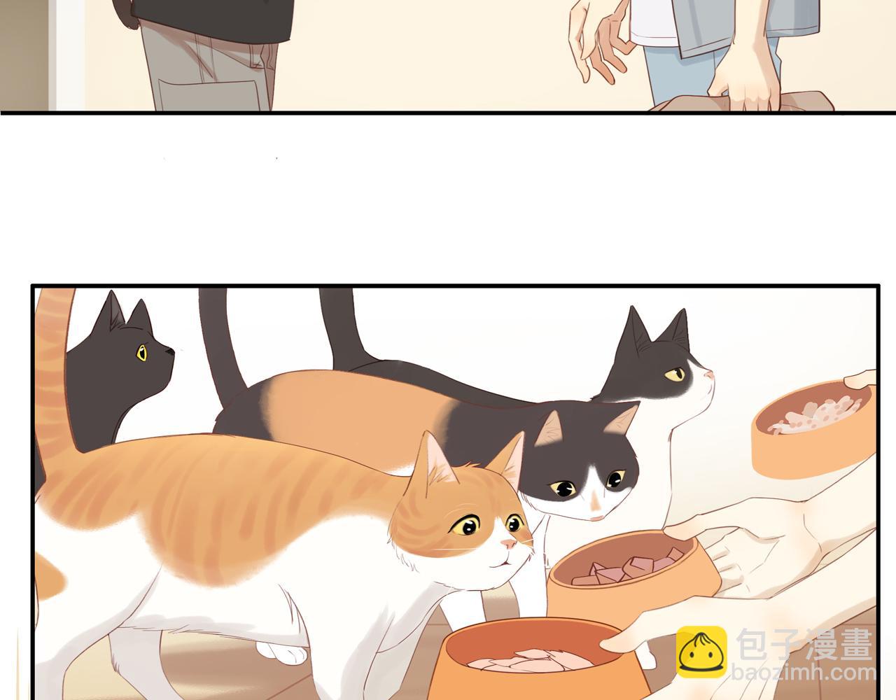 第14话 往事(1/2)-第16话