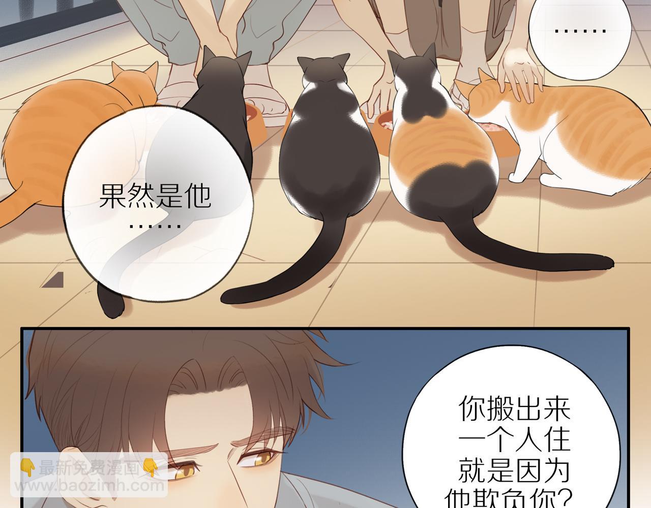 第14话 往事(1/2)-第16话