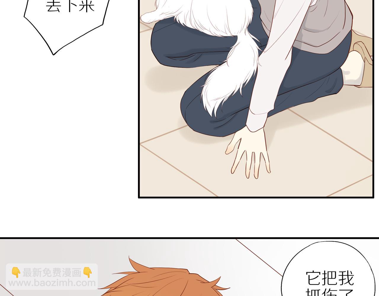 第14话 往事(1/2)-第16话