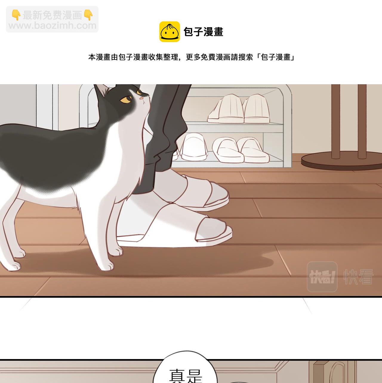 第22话 厄运缠身(1/2)-第24话