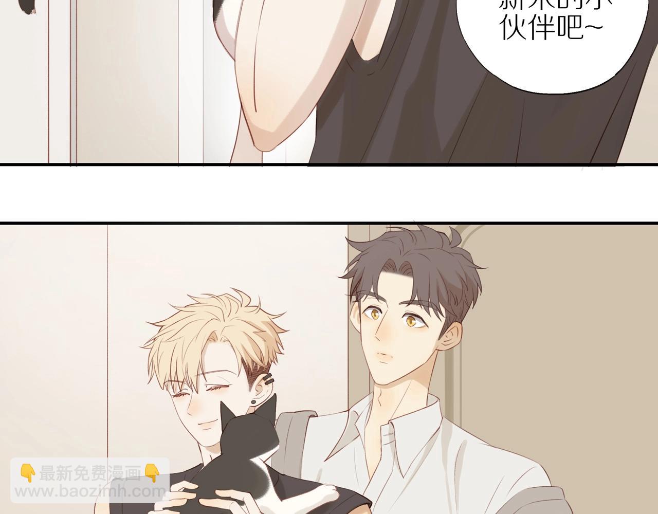 第6话  猫咪纹身(1/2)-第8话