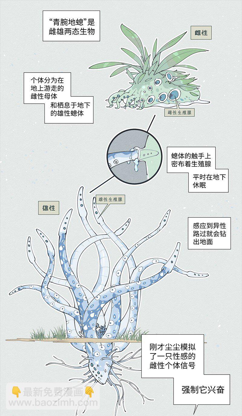 【第17谈】 头痛医头，脚痛医脚。-第18话