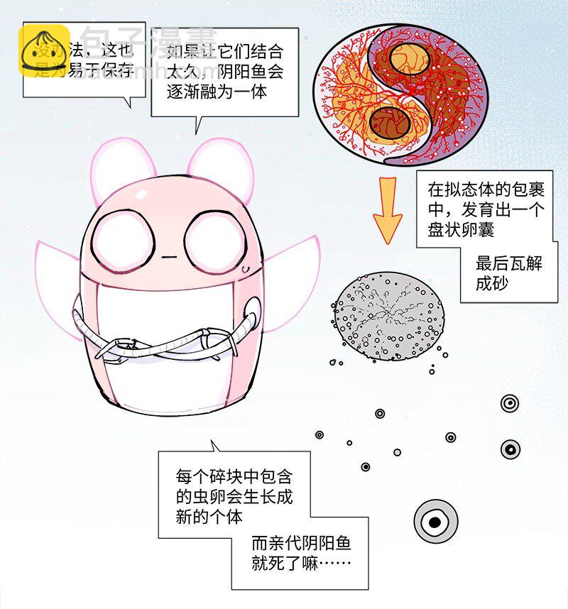 【第35谈】 麻雀虽小，五脏俱全。-第38话