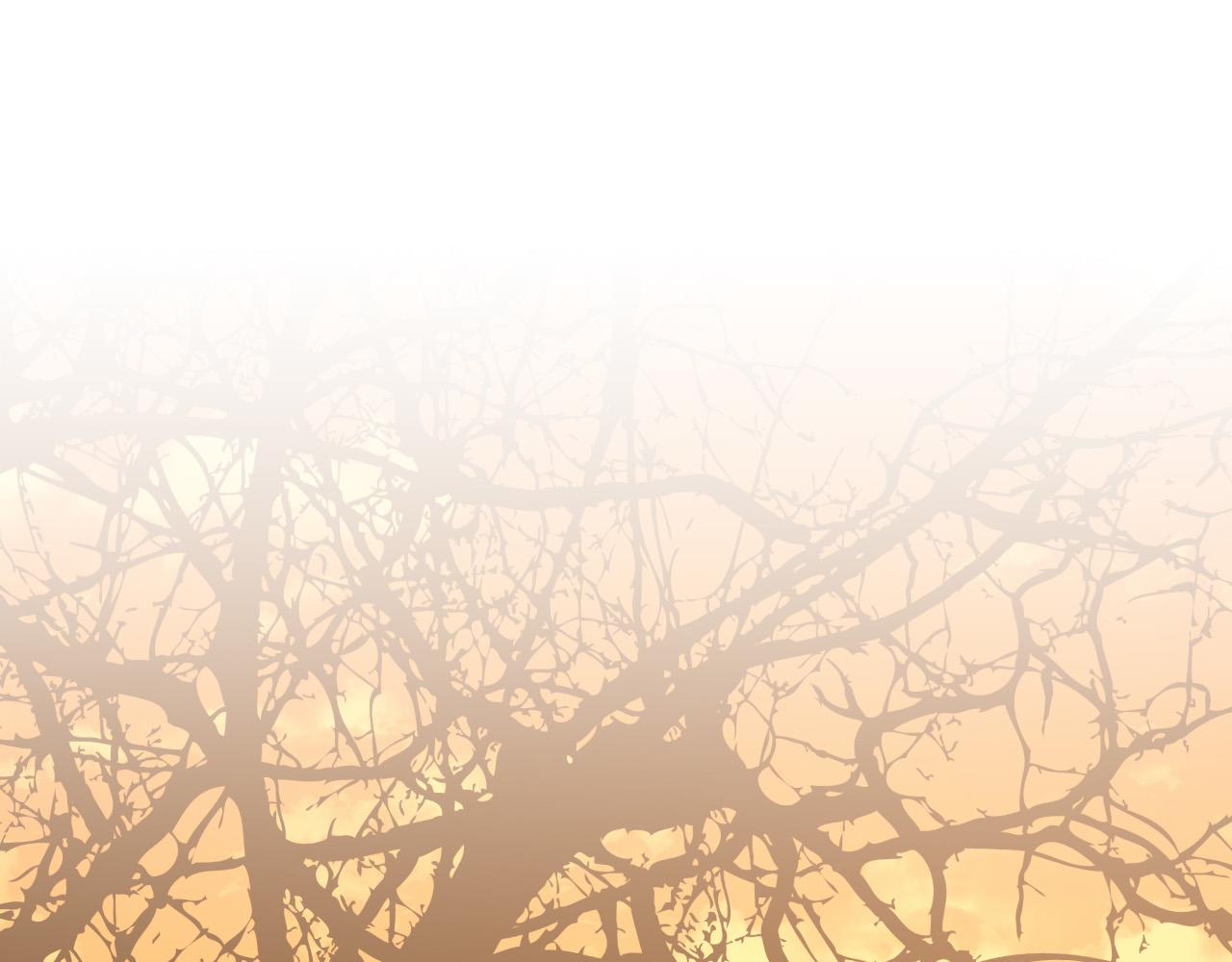 第76话 反杀(1/3)-第56话